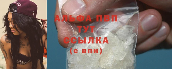 СК Абдулино
