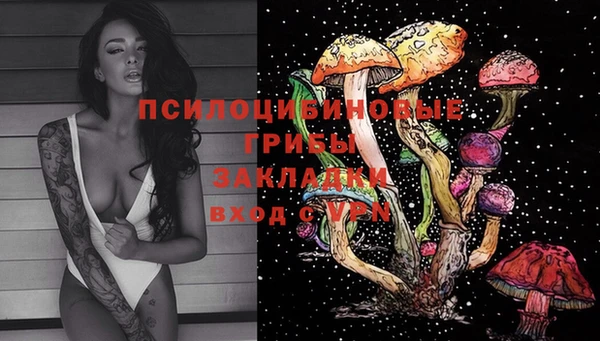 трава Абинск