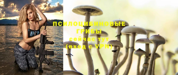 трава Абинск